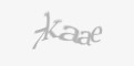 Ахоўны код