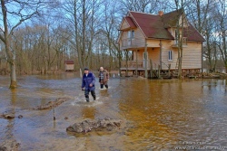 В Беларуси начался паводок: на Гомельщине подтоплены участки дорог