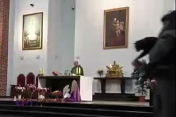 Кошка забежала под алтарь прямо во время Мессы в Могилеве – видео