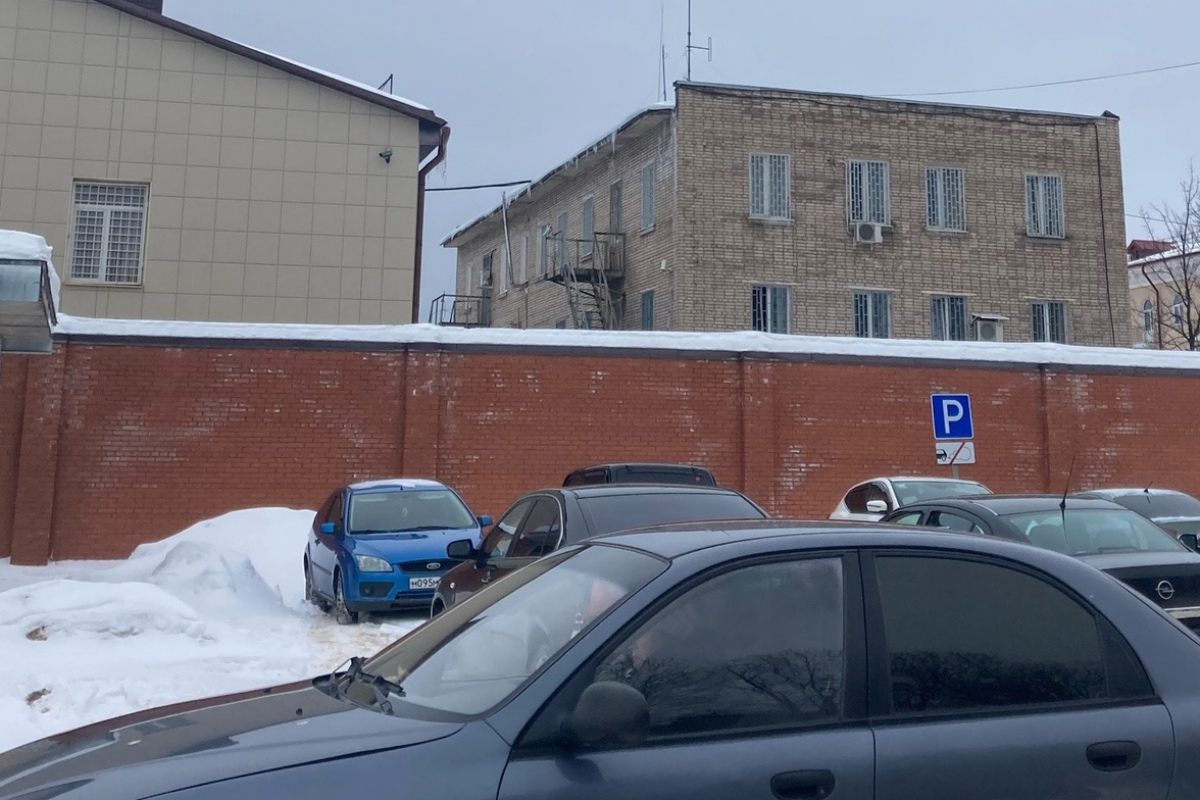 Волонтёры и верующие отвезли 100 кг передач арестованным за цветы Навальному