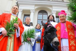 Пальмовое воскресенье в Беларуси отпраздновали более 100 тыс. человек