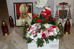 Цветы для кардинала: в Беларуси отмечают 80 лет священства Казимира Свентка
