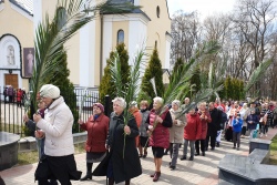Католики празднуют Пальмовое воскресенье - видео-онлайн