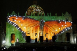 Впервые в Ватикане устроили световое шоу на тему экологии [ВИДЕО]