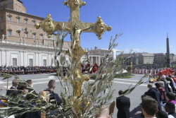 «В безумии войны Христос снова распят» - Папа в Пальмовое воскресенье призвал к перемирию