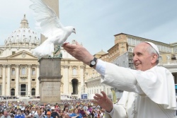 «Блажен политик, строящий единство». Послание Папы на День мира