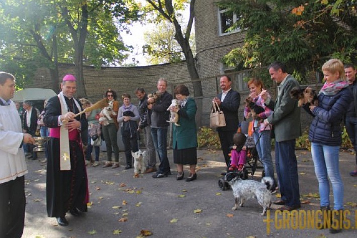 Домашних животных освятил в Гродно епископ