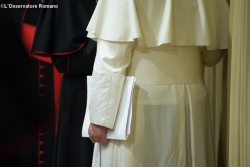 Папу просят поставить точку в вопросе геев и разведенных