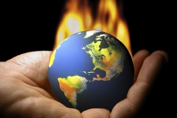 Епископы мира призывают остановить глобальное потепление