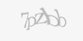 Защитный код